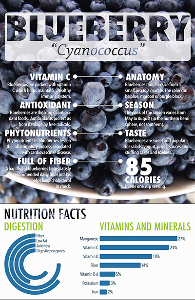 SI520: Graphic Design, Fall 2015. Infographic extolling the virtues of the humble blueberry, Adobe Photoshop